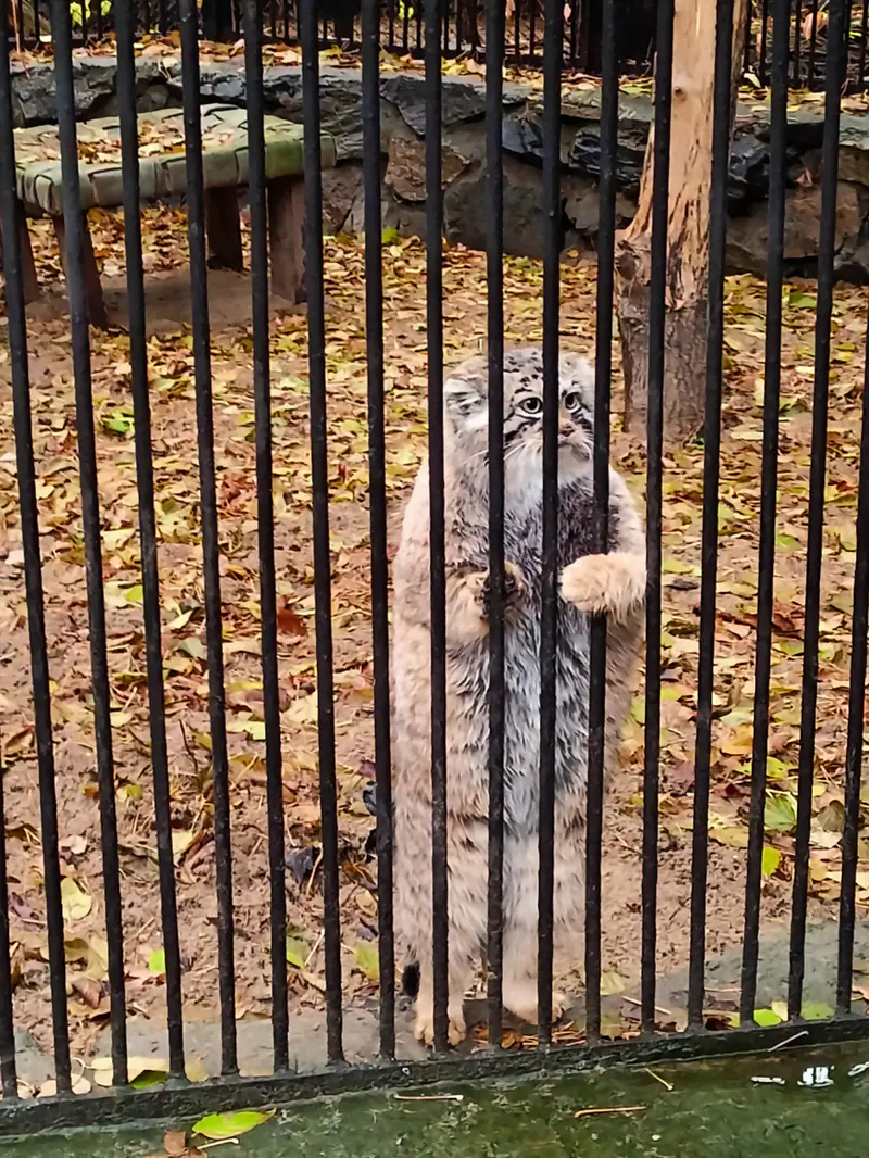 A photograph of Anya in Novosibirsk Zoo
