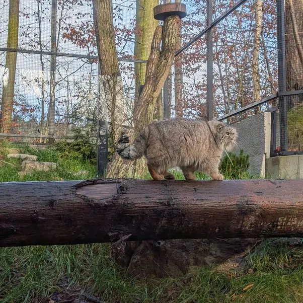 A photograph of Manuel in Gdansk Zoo