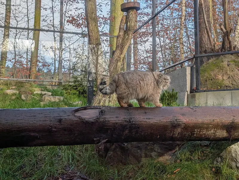 A photograph of Manuel in Gdansk Zoo