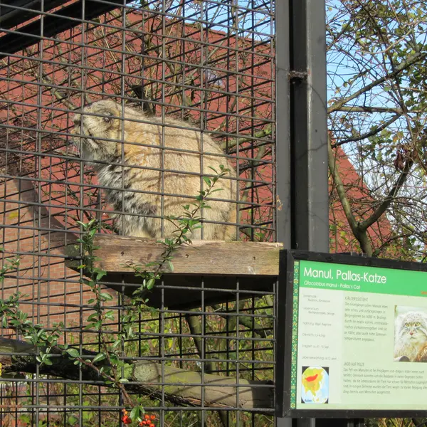 A photograph of Jonathan in Magdeburg Zoo