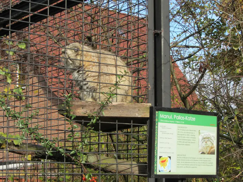 A photograph of Jonathan in Magdeburg Zoo