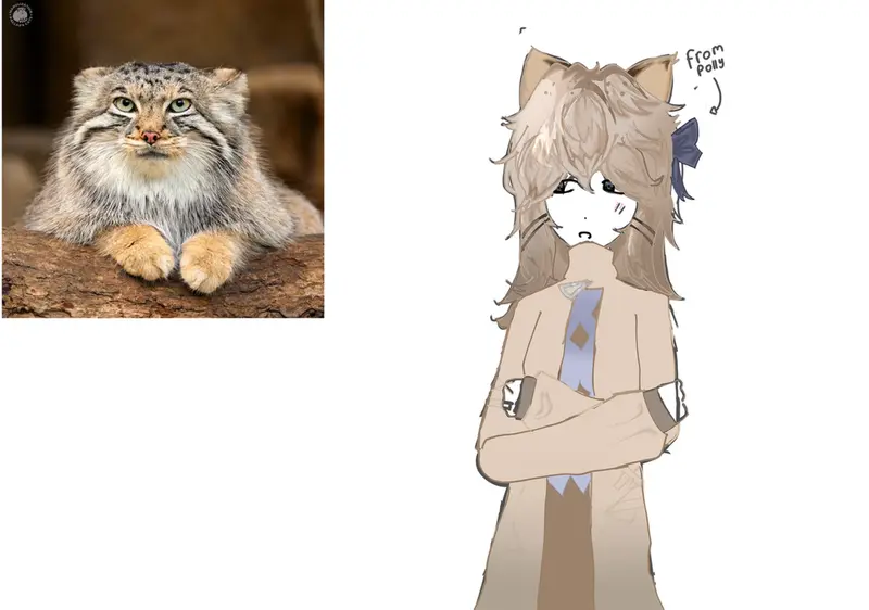 I have 2 art style!