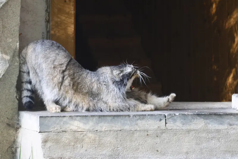 A photograph of Timofey in Moscow zoo