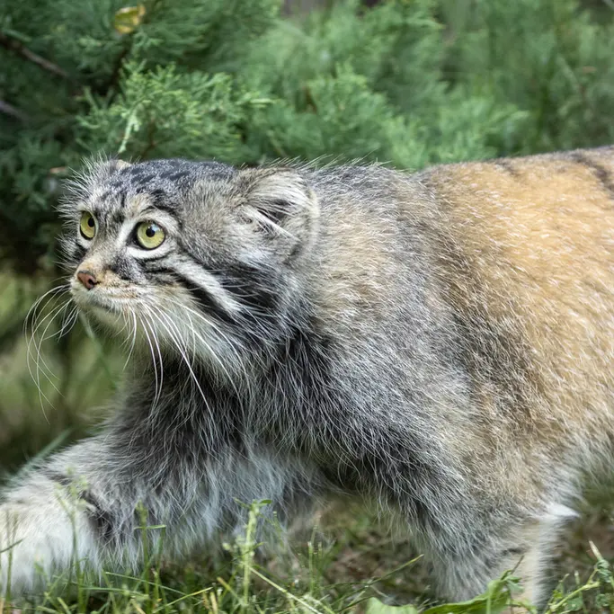 A photograph of Timofey in Moscow zoo