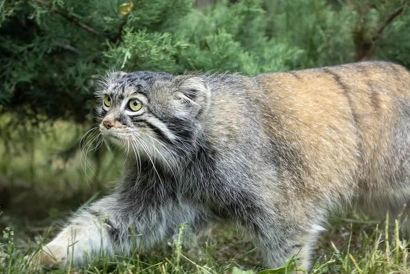 A photograph of Timofey in Moscow zoo