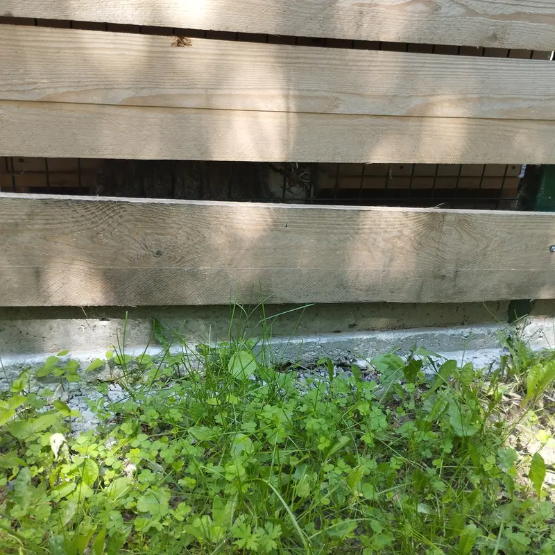 A photograph of Chip in Barnaul zoo “Lesnaya skazka”