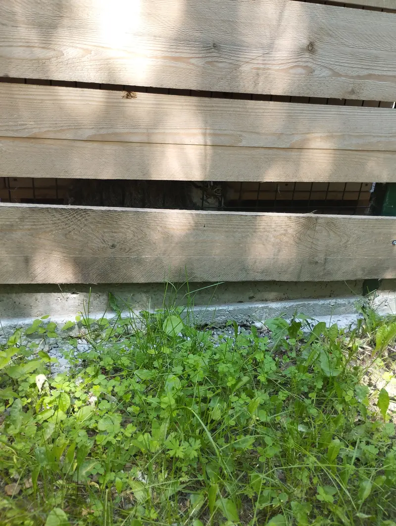 A photograph of Chip in Barnaul zoo “Lesnaya skazka”