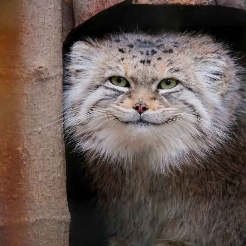 A photograph of Jessie in Warsaw Zoo