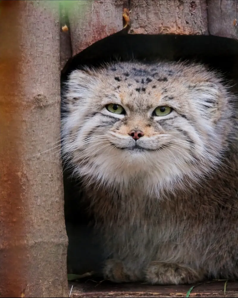 A photograph of Jessie in Warsaw Zoo