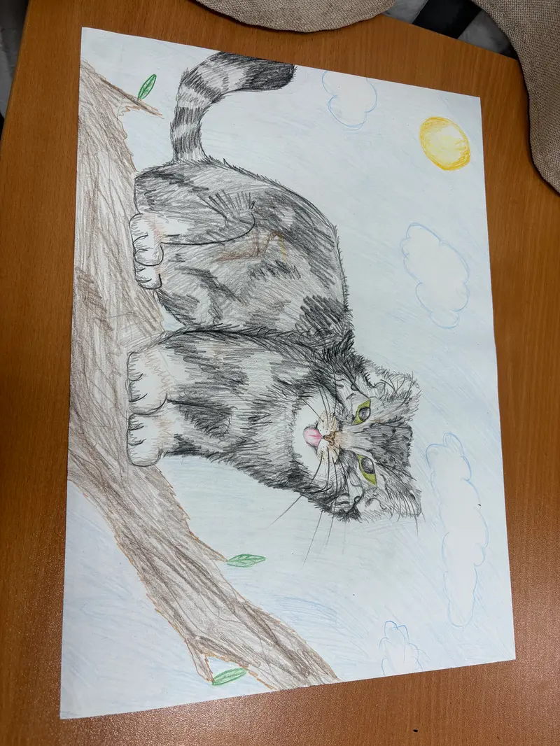 Hello! I draw manuls,sent requests please!🐾
