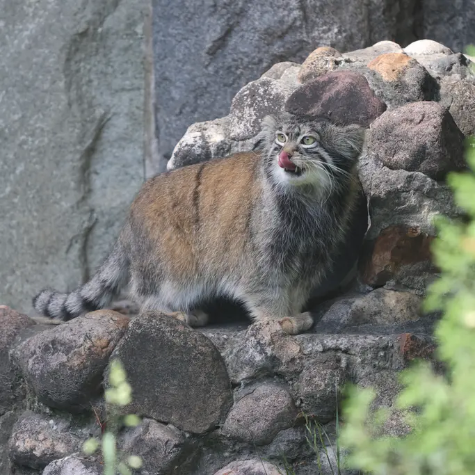 A photograph of Timofey in Moscow zoo