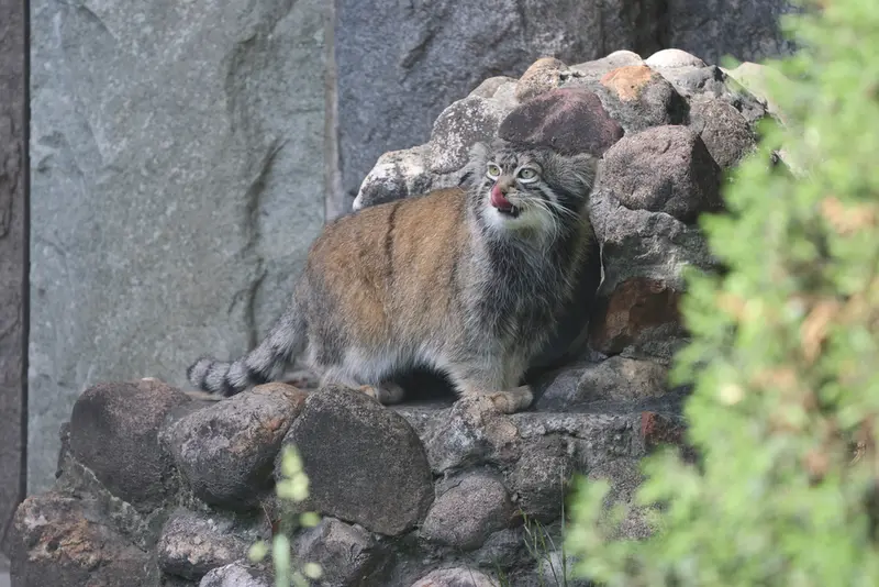 A photograph of Timofey in Moscow zoo