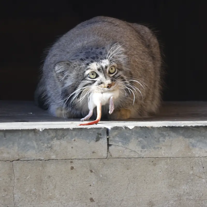 A photograph of Timofey in Moscow zoo