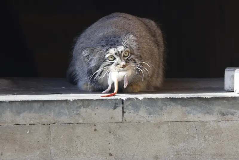 A photograph of Timofey in Moscow zoo