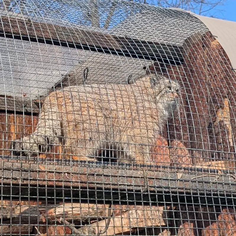 A photograph of Pepe in Leningrad zoo
