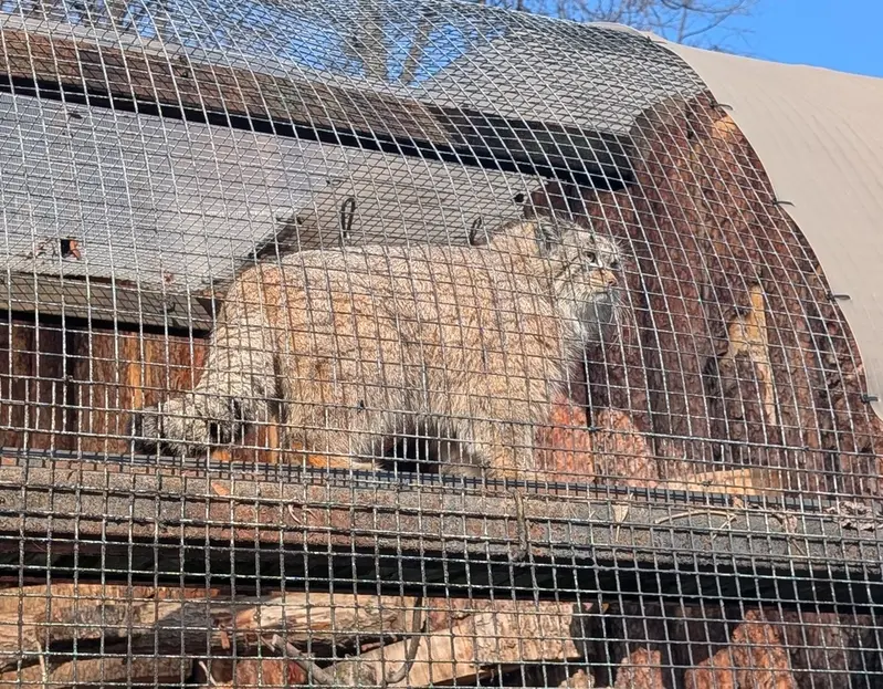 A photograph of Pepe in Leningrad zoo