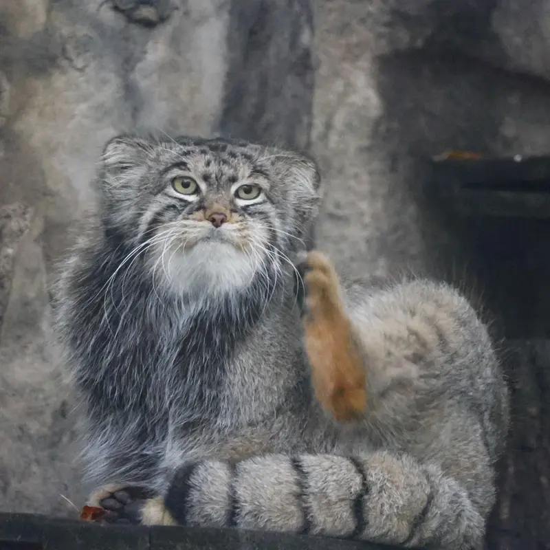 A photograph of Timofey in Moscow zoo