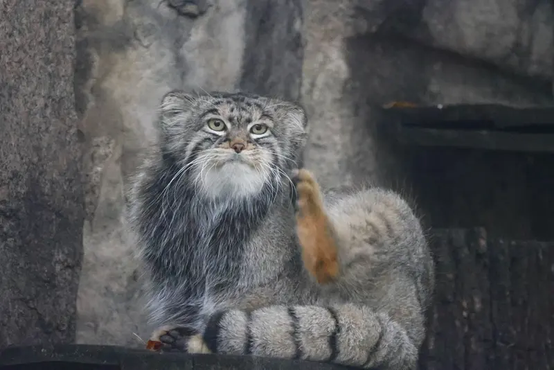 A photograph of Timofey in Moscow zoo