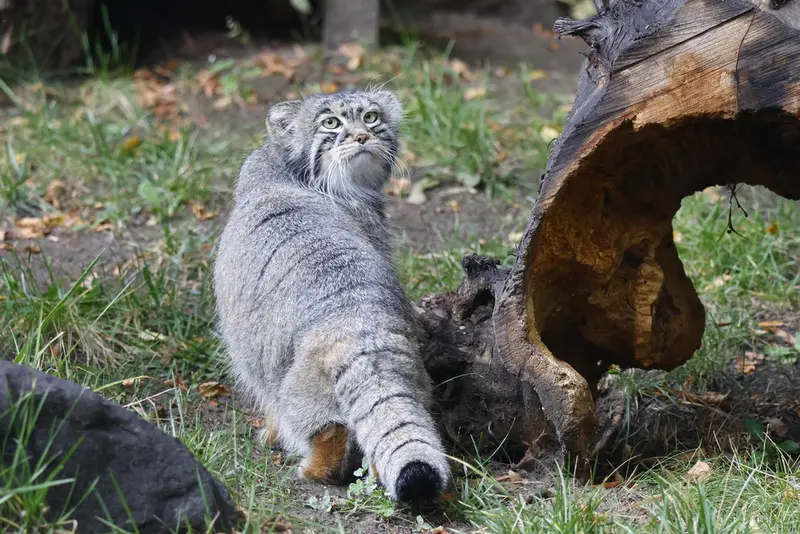 A photograph of Timofey in Moscow zoo