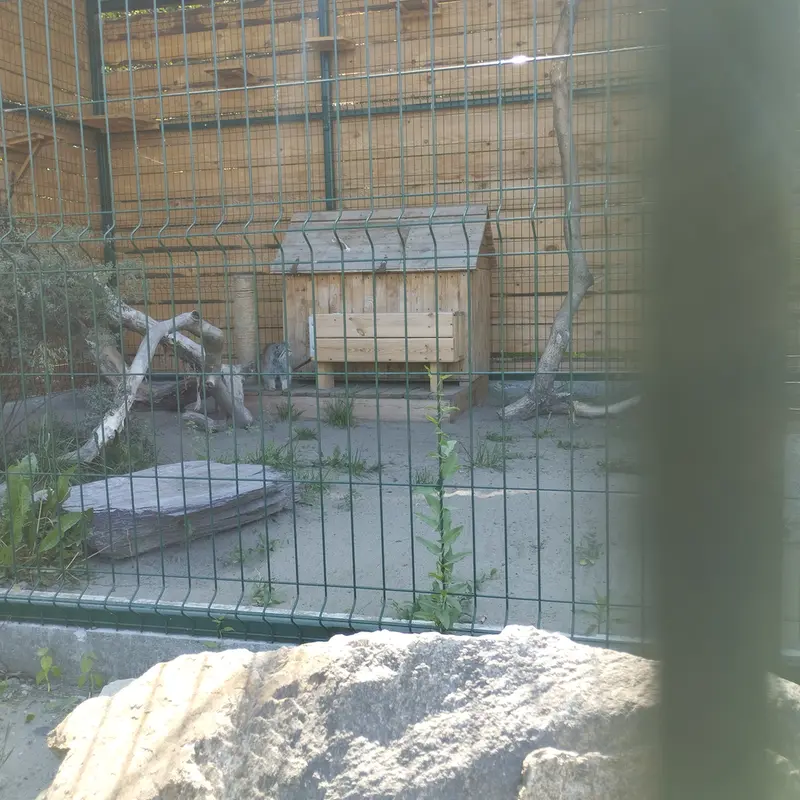 A photograph of Pepe in Barnaul zoo “Lesnaya skazka”