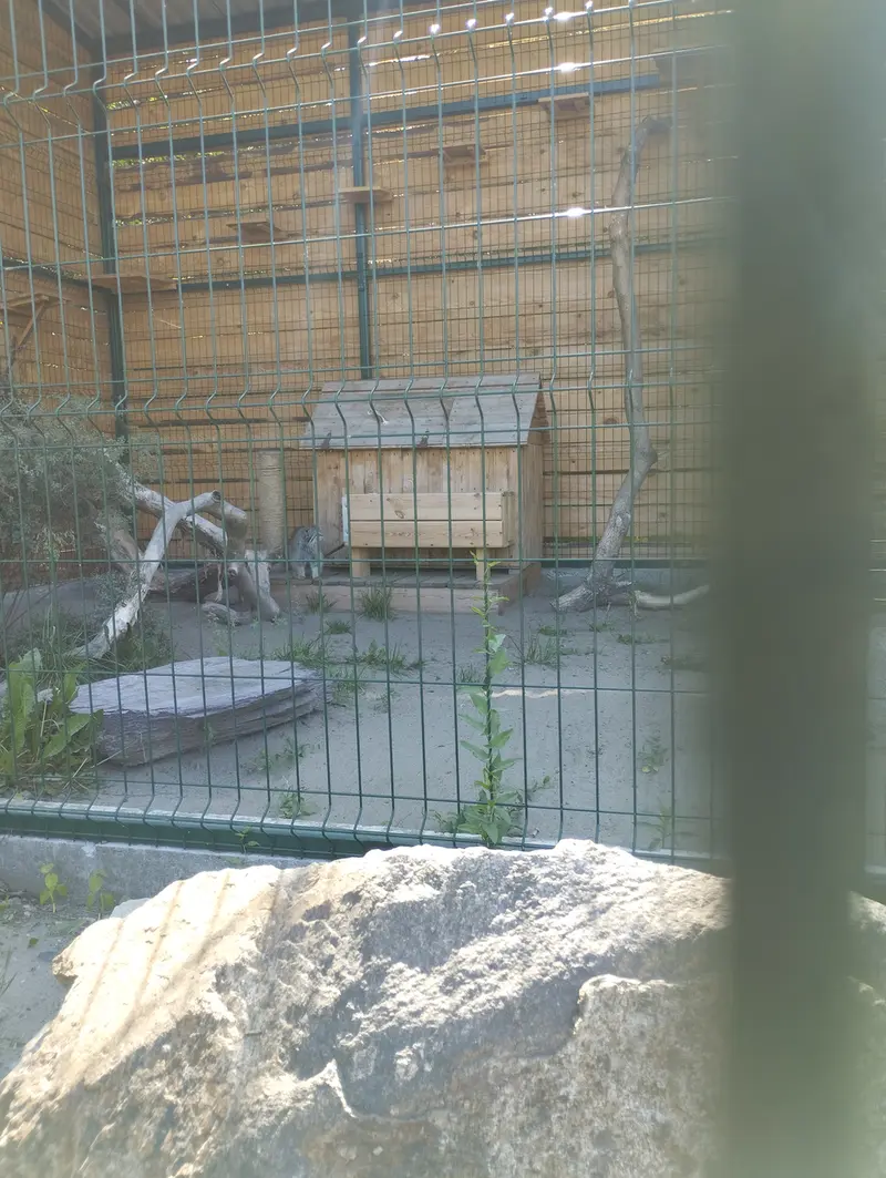 A photograph of Pepe in Barnaul zoo “Lesnaya skazka”