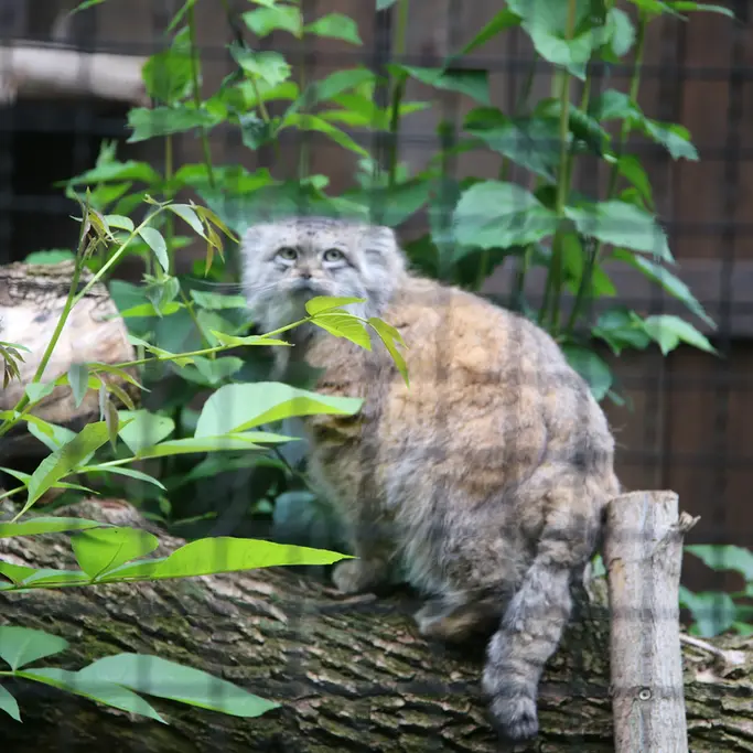 A photograph of Jessie in Warsaw Zoo