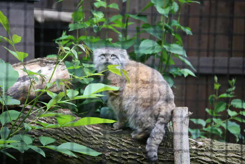 A photograph of Jessie in Warsaw Zoo