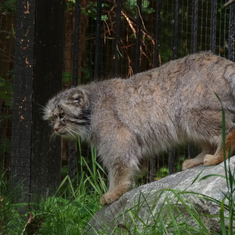 A photograph of Manuel in Gdansk Zoo
