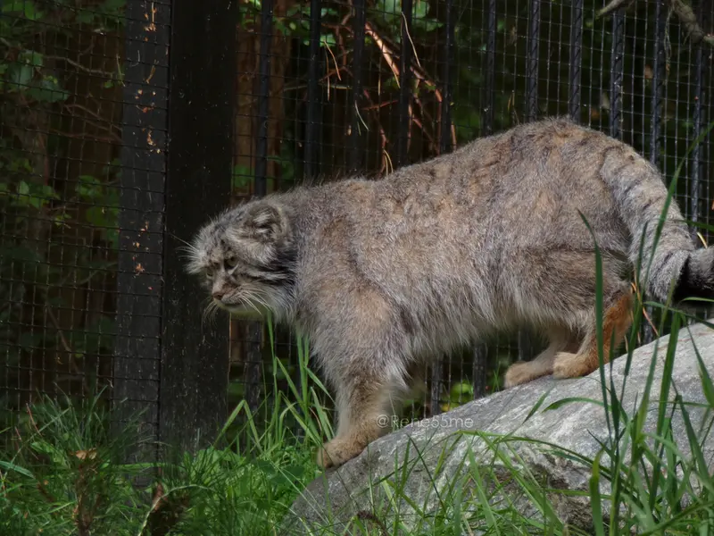 A photograph of Manuel in Gdansk Zoo