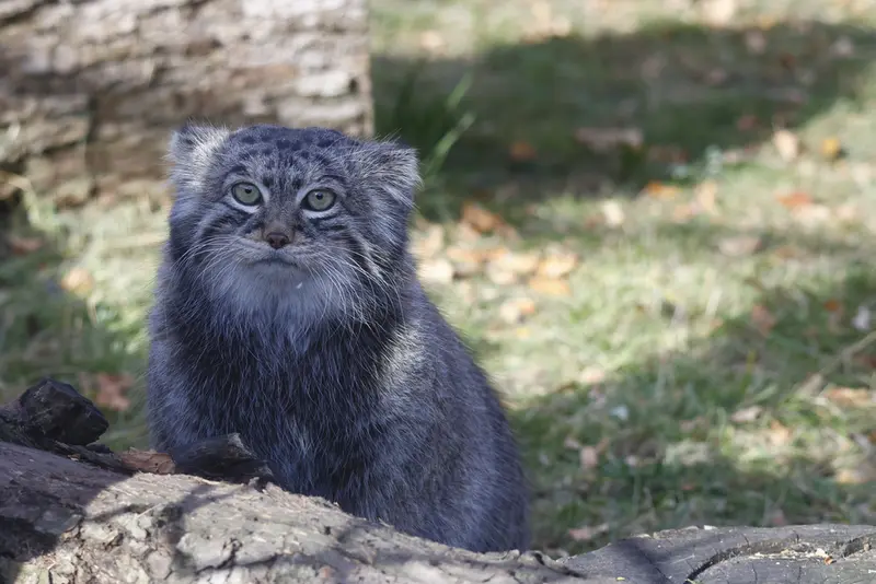 A photograph of Timofey in Moscow zoo