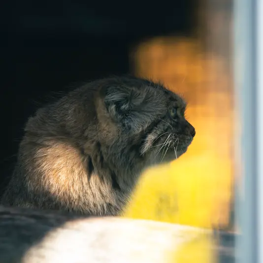 A photograph of Melissa in Lithuanian Zoo