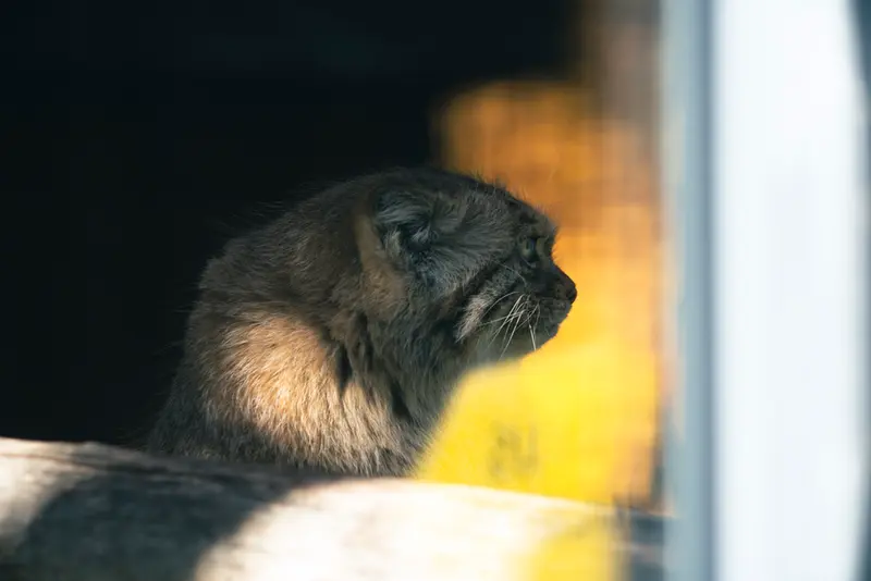 A photograph of Melissa in Lithuanian Zoo