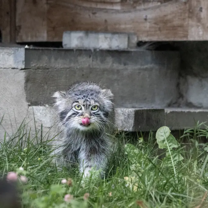 A photograph of Timofey in Moscow zoo