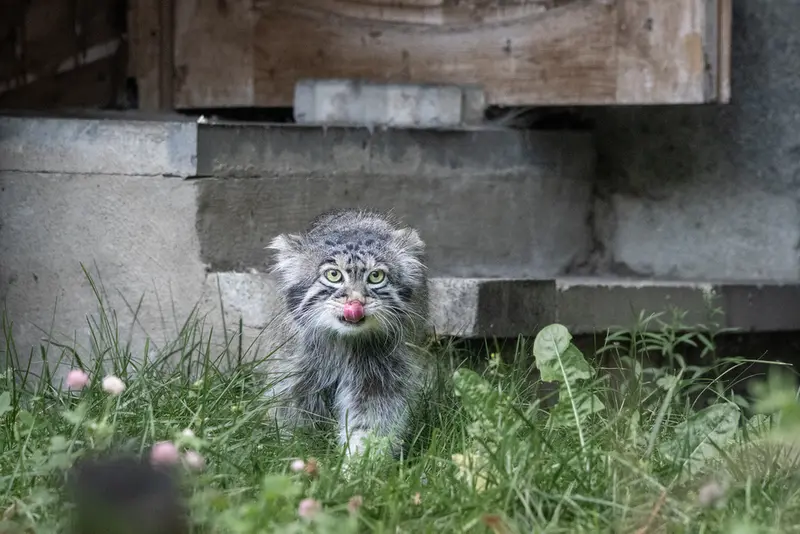 A photograph of Timofey in Moscow zoo