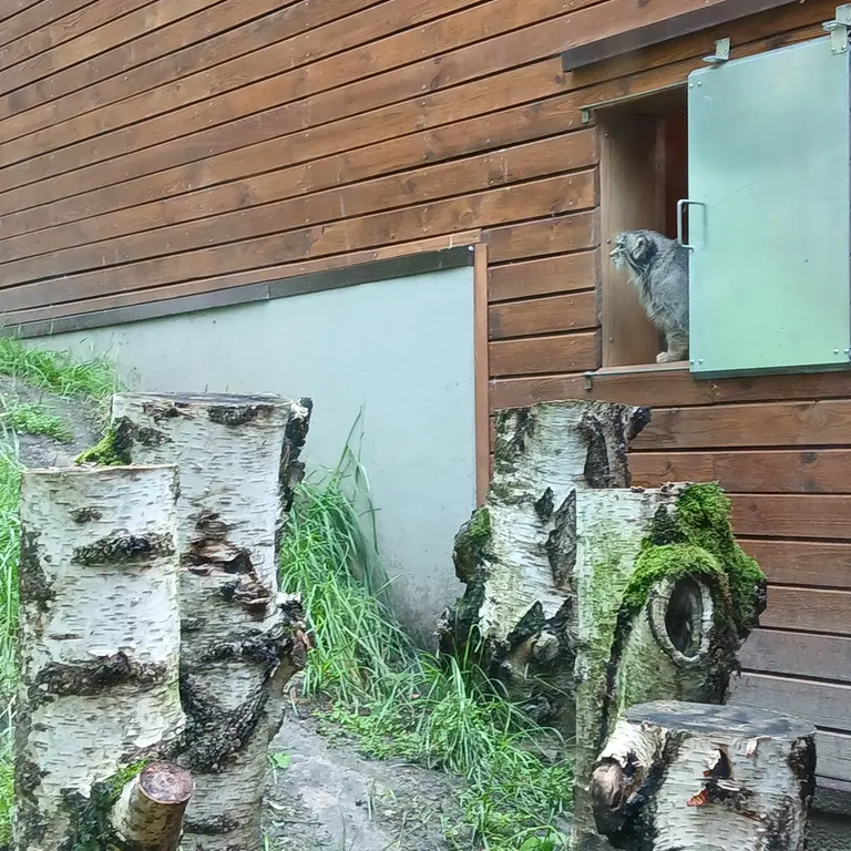 A photograph of Manuel in Gdansk Zoo