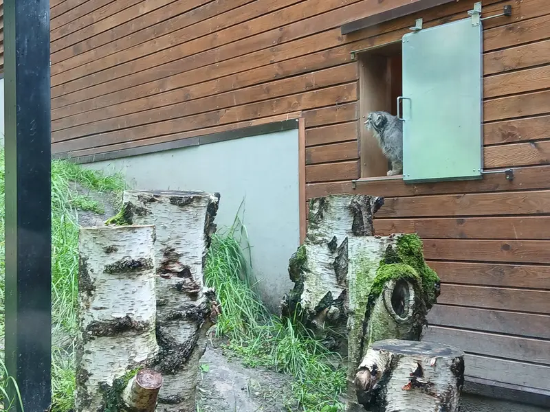 A photograph of Manuel in Gdansk Zoo