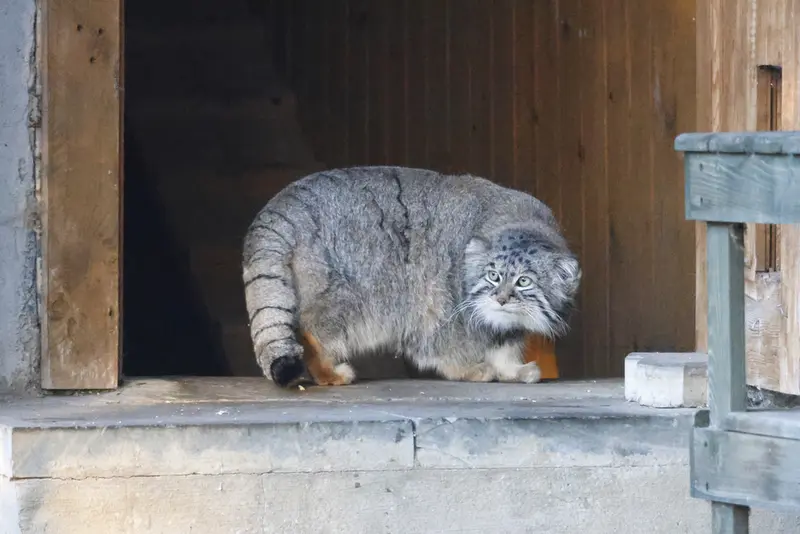 A photograph of Timofey in Moscow zoo