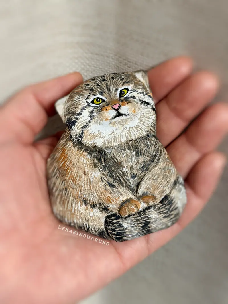 A photograph of a Pallas's cat