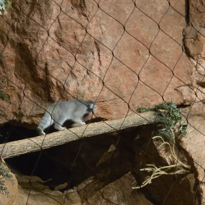 A photograph of Johan in Brookfield Zoo Chicago