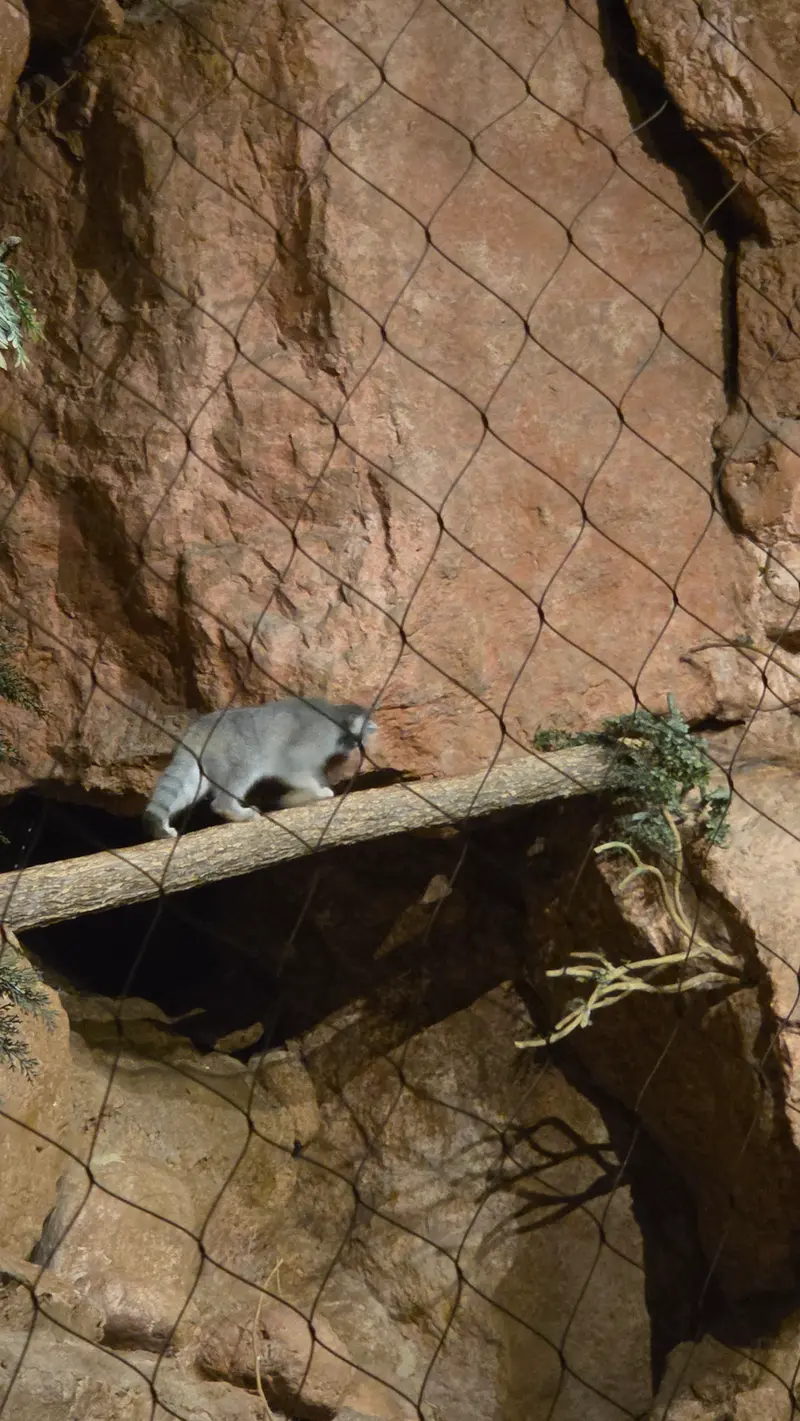 A photograph of Johan in Brookfield Zoo Chicago
