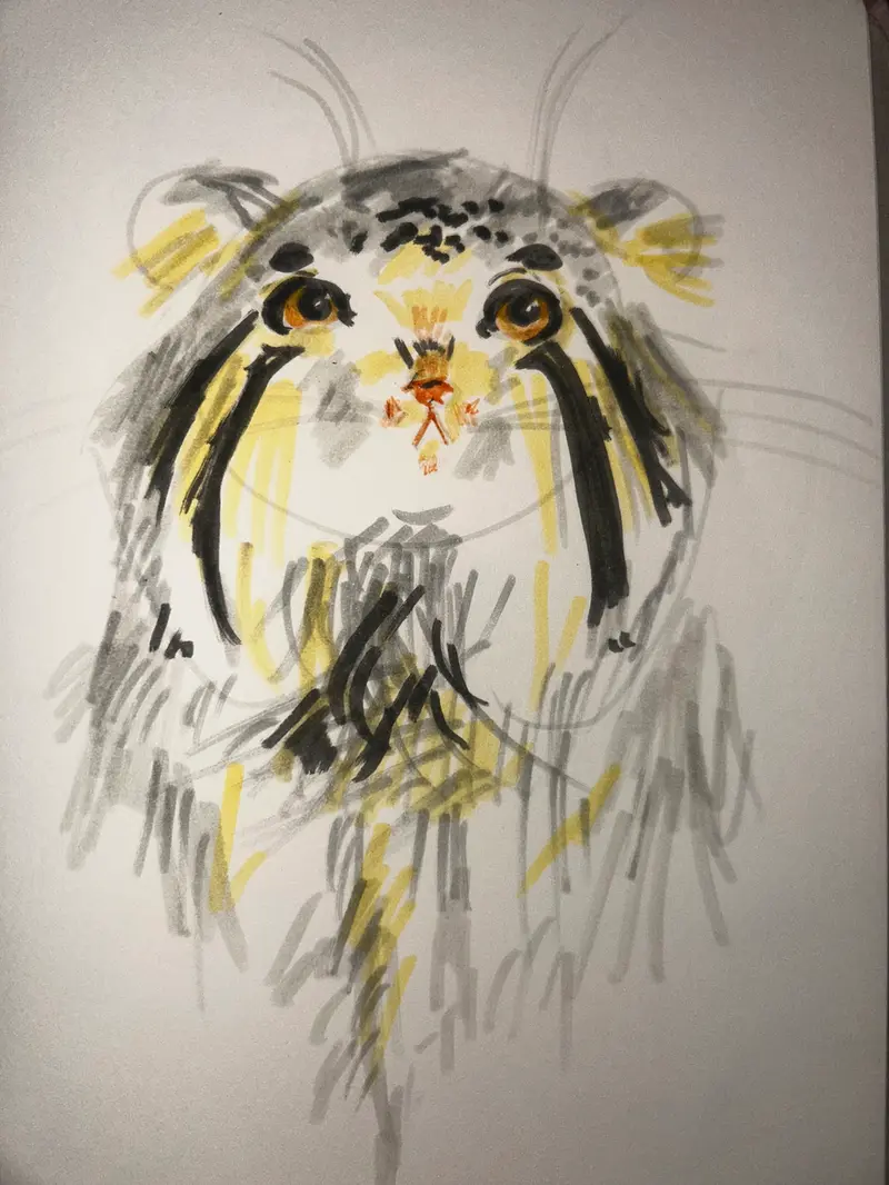 Cute manul drawing I did earlier that I think is worthy of sharing ♡