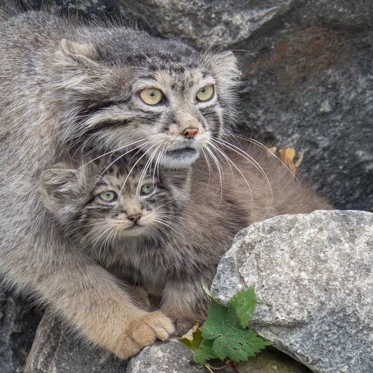 A photograph of Charu and Ula in Tierpark Berlin
