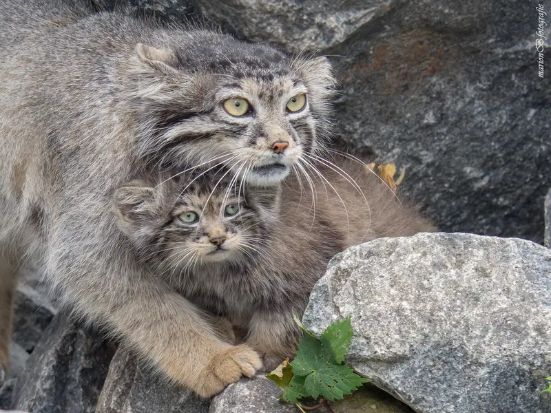 A photograph of Charu and Ula in Tierpark Berlin