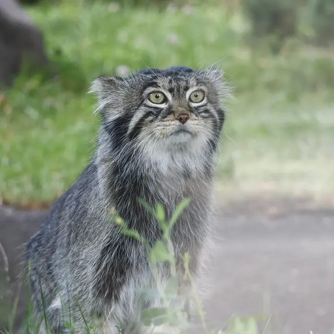 A photograph of Timofey in Moscow zoo