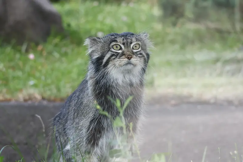 A photograph of Timofey in Moscow zoo