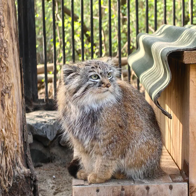 A photograph of Gabi in Novosibirsk Zoo