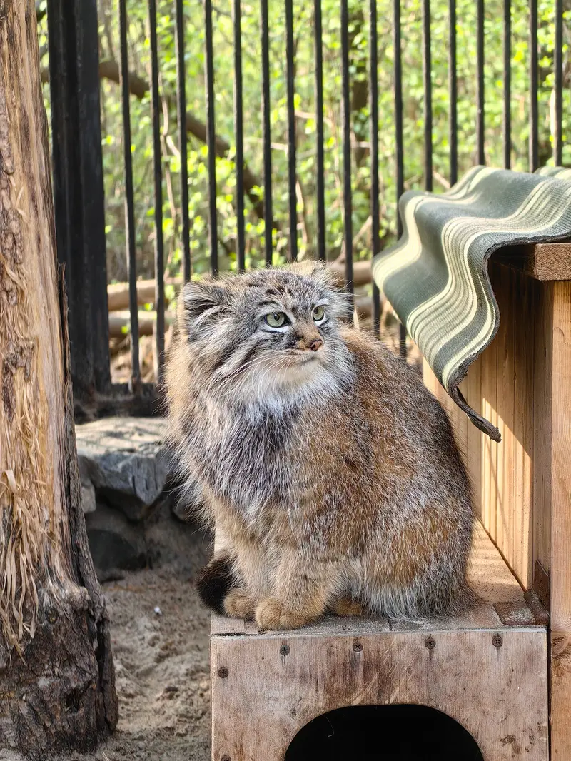 A photograph of Gabi in Novosibirsk Zoo