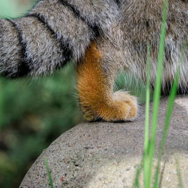 A photograph of Timofey in Moscow zoo