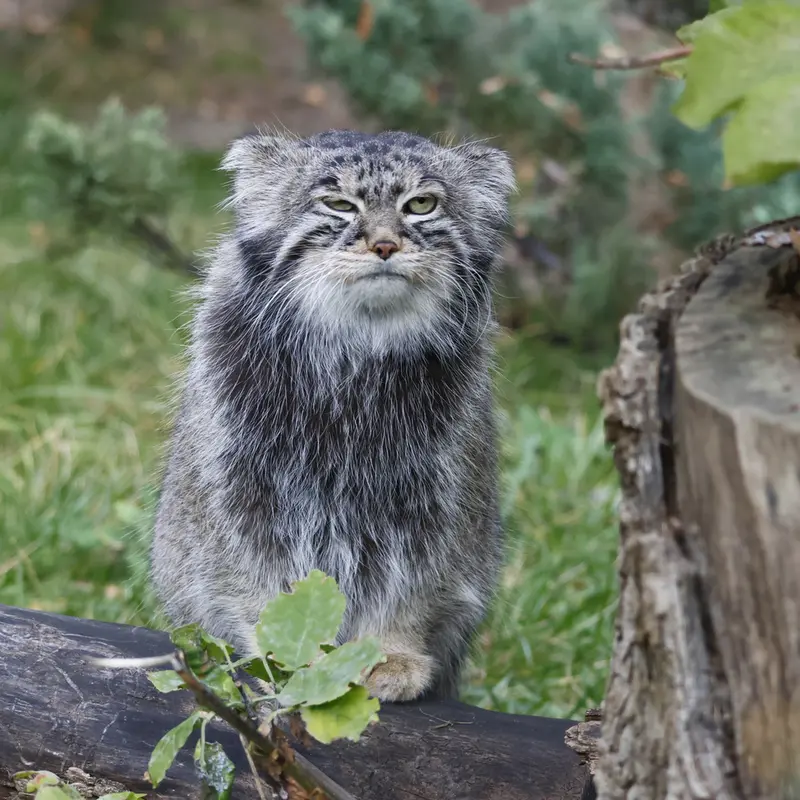 A photograph of Timofey in Moscow zoo