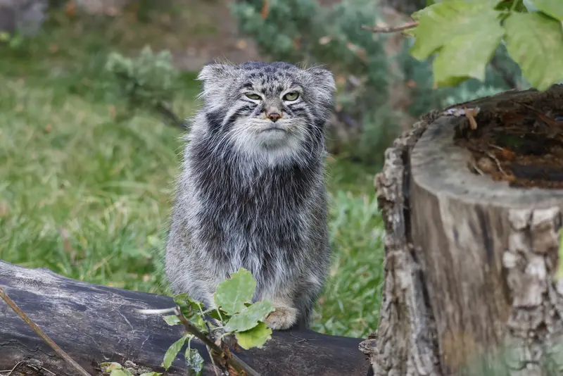 A photograph of Timofey in Moscow zoo